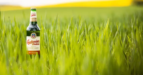 Vintage și viziune în noul rebranding Budweiser Budvar (P)