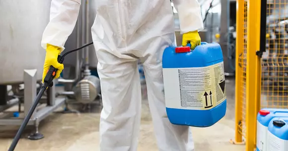 (P) Ce sunt gandacii de canalizare si cum scapi de acestia