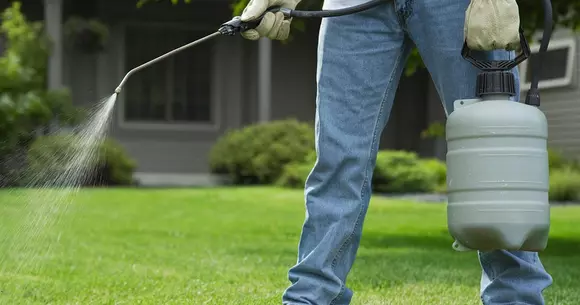 (P) Firma 3d-deratizarecompleta.ro oferă serviciile necesare pentru a putea scapa de dăunători