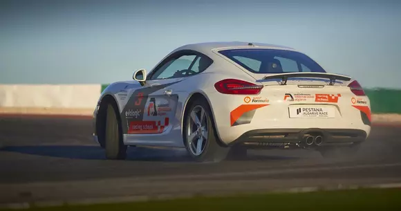 (P) Ce sunt anvelopele OE?