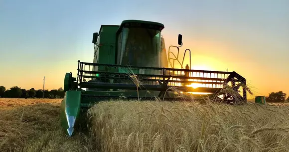 (P) Unelte de care ai nevoie dacă ești pasionat de bricolaj!