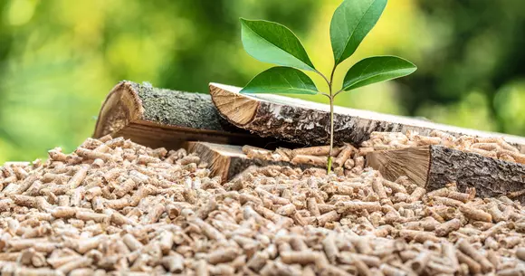 (P) 4 motive pentru a folosi peleții de la Tomibena