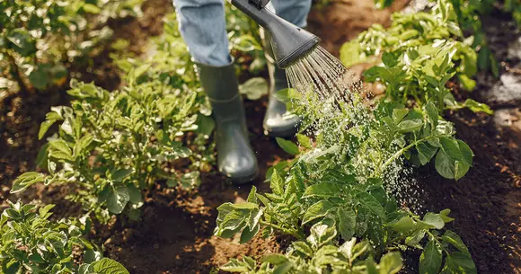 (P) Cele mai bune articole de bricolaj pentru casa și gradina ta într-un singur lor