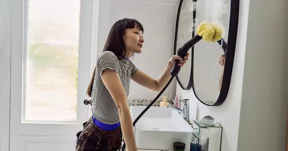 (P) Curățenie igienică în toată casa cu un singur aparat de curățat cu abur