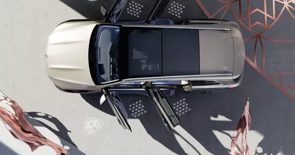 (P) Spațiu încăpător sau design modern? Cum alegi modelul de mașină care îți definește statutul