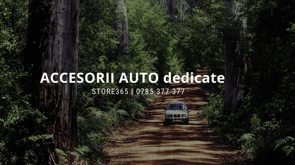 (P) Accesorii auto dedicate pe Store365