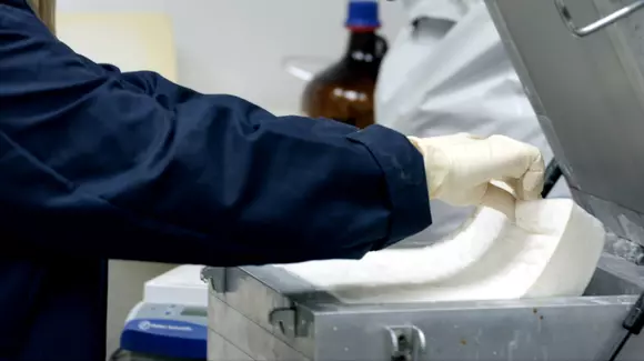 Între timp, Ford mai bifează o premieră "eco" în domeniul auto