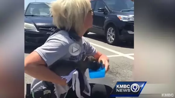 Nu mai lăsați animalele de companie încuiate în mașină!