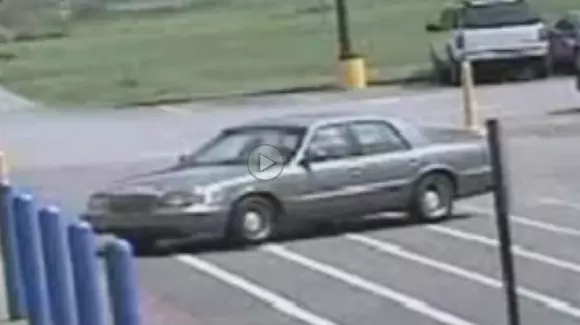 Dovada că patrupedele pot cauza accidente când sunt la volan