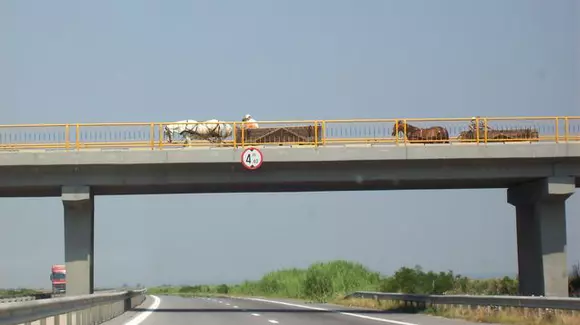 3 lucruri pe care le vezi mai ales pe șoselele din România