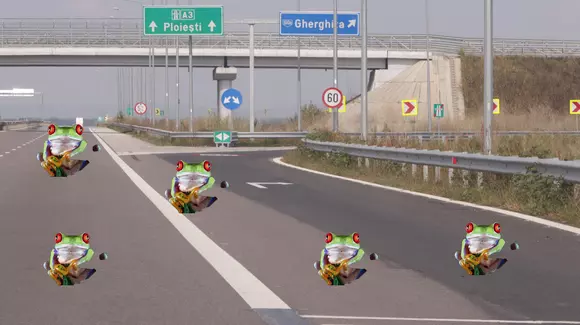 Autostrada Pitești-Sibiu nu se construiește din pricina broaștelor. Cum e posibil?