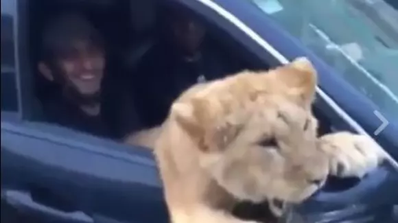 Abia acum le-ai văzut pe toate! Cum circula un rus prin țara natală? | VIDEO