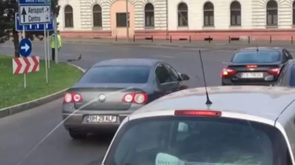 Ce gest! Un polițist a oprit traficul în Oradea pentru ca un cârd de rațe să traverseze în siguranță | VIDEO