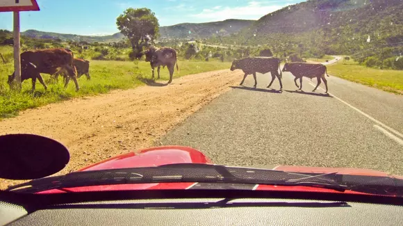 5 țări unde nu este ilegal să consumi alcool și să te urci la volan