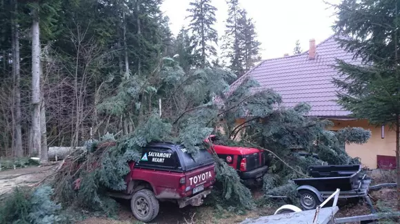 Dezastru: 72 de mașini au fost distruse în urma vijeliilor din ultimele 24 de ore