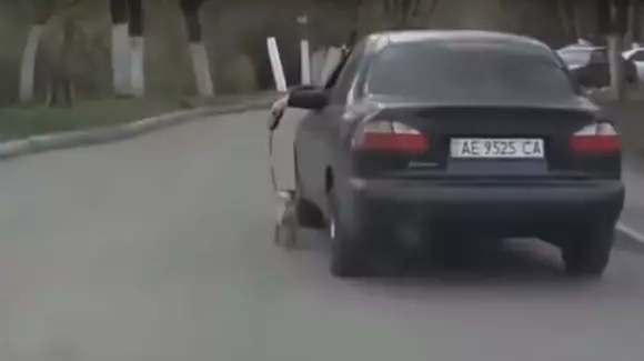 A scos maşina să plimbe câinele. Şi acesta e doar un moment din acest clip amuzant