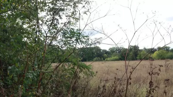 Ce a văzut un fermier pe terenul său în urma unei plimbări cu mașina. "Nu mi-a venit să cred!"