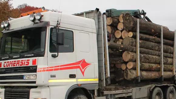 O tânără a fost amendată de poliție după ce a sunat la 112 să facă o plângere. Motivul este de-a dreptul hilar