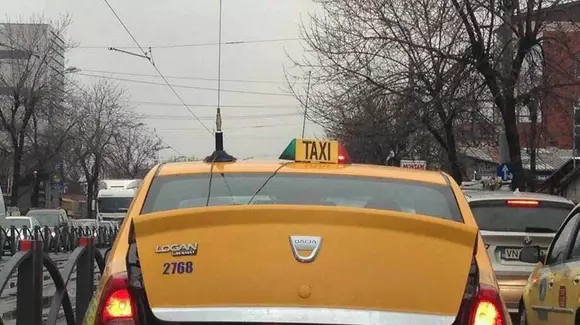 Imaginea anului în România! A mers prin tot Bucureștiul cu porcul în portbagaj