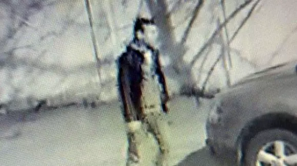 UPDATE: Piromanul din București a fost prins