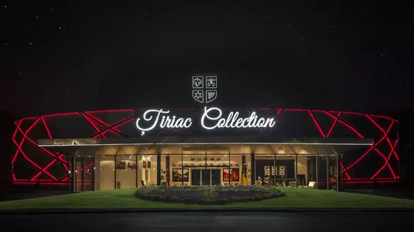 Galeria Ţiriac Collection poate fi vizitată în Noaptea Muzeelor 2018