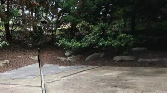 Predator s-a transformat în "mașina invizibilă" și a uimit internetul