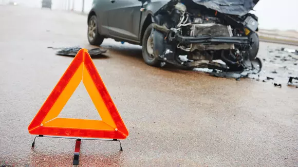 Din iubire pentru animale, acest șofer și-a făcut mașina praf