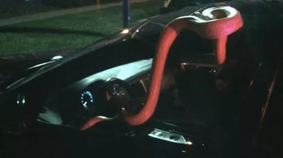 Un șofer băut a adormit la volan, iar șarpele său de 4,5 m a încercat să „evadeze” din mașină