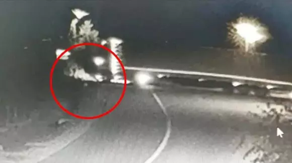 Caz bizar în Bihor, bazat pe această filmare: un șofer de TIR a fost arestat pentru omor