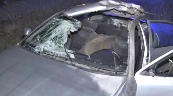 Accident ciudat pe un drum din județul Dâmbovița: cu ce s-a trezit un şofer în maşină