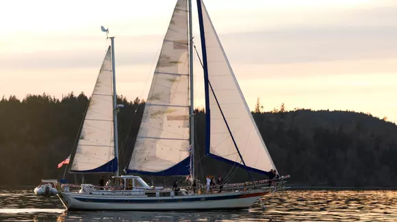 Sezonul iubirii continuă la Diva! ”Patru nunți estivale” e difuzat pe 12 iulie (P)