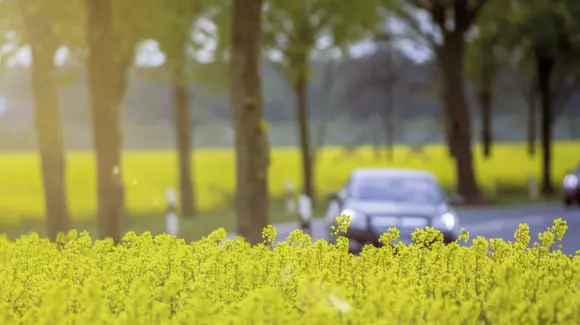 Plăcuțele de frânare, privite prin prisma sustenabilității