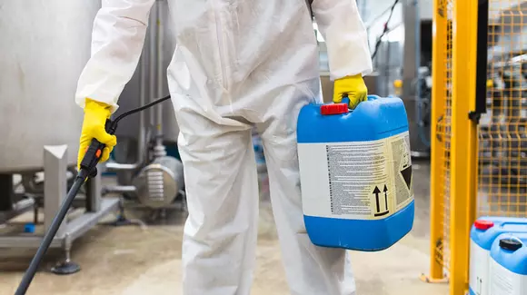 (P) Ce sunt gandacii de canalizare si cum scapi de acestia