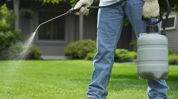 (P) Firma 3d-deratizarecompleta.ro oferă serviciile necesare pentru a putea scapa de dăunători