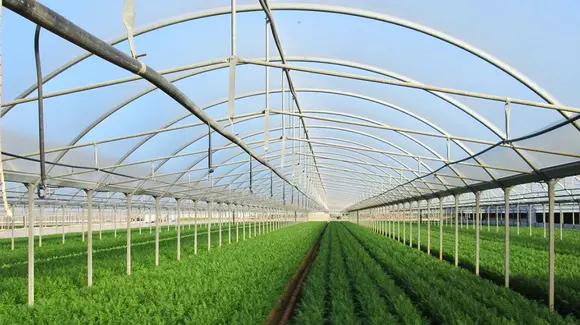 (P) Pe Regal Fermierul găsești folie solar, folie profesionala solarii, folie sera orice tip!