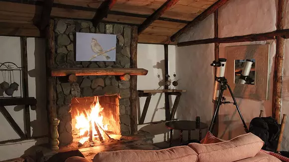 (P) Ariston Genus One, un exemplu de centrală pe gaz „smart“