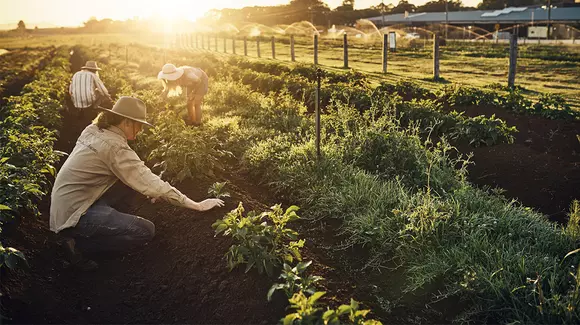 (P) Informații utile pe care trebuie să le știți atunci când doriți să amenajați propria gradină!