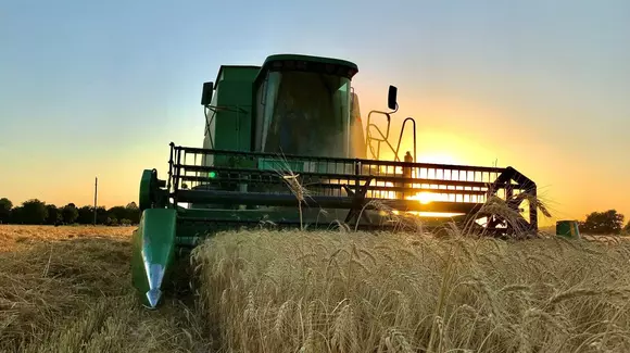 (P) Unelte de care ai nevoie dacă ești pasionat de bricolaj!