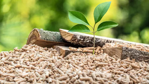 (P) 4 motive pentru a folosi peleții de la Tomibena