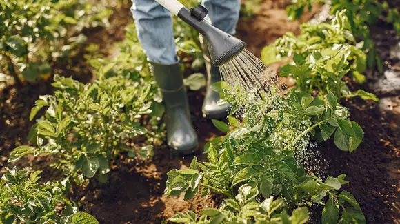 (P) Cele mai bune articole de bricolaj pentru casa și gradina ta într-un singur lor