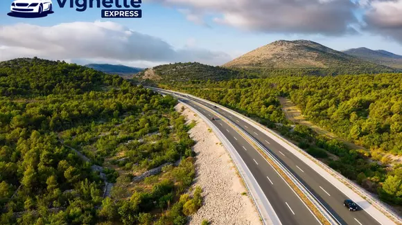 (P) Vigneta cehă: Ghid complet privind prețurile și opțiunile de achiziție pentru 2025