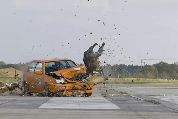 Incredibil: Ce se întâmplă când lovești cu mașina un animal?