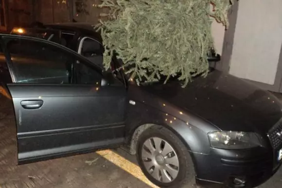 Și-a aruncat bradul de la geam și a avariat o mașină