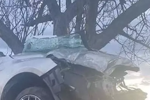 Acest accident trebuie predat la școlile de șoferi. Cum a ajuns mașina în copac