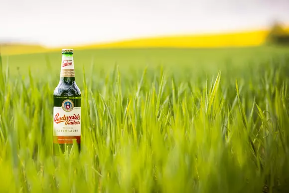 Vintage și viziune în noul rebranding Budweiser Budvar (P)