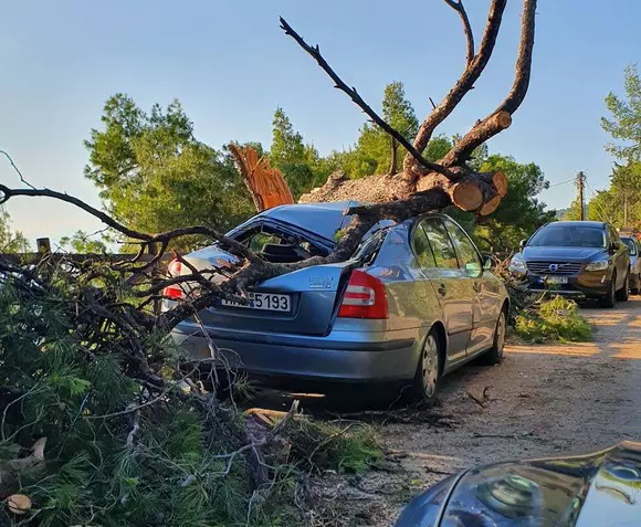 Raluca Moianu a postat o fotografie care arata dezastrul din Halkidiki