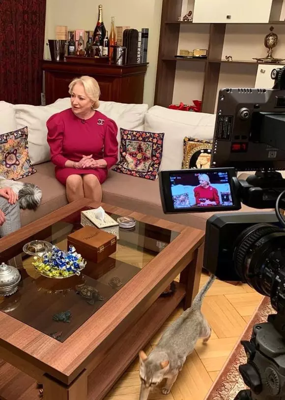 viorica_dancila_acasa