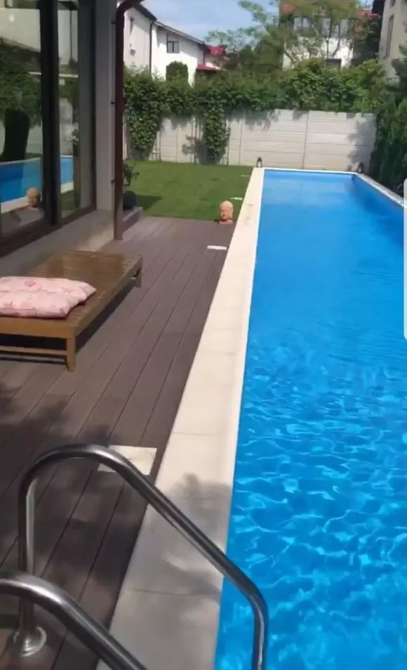 Imagini casă Ștefan Bănică și Lavinia Pîrva (2)
