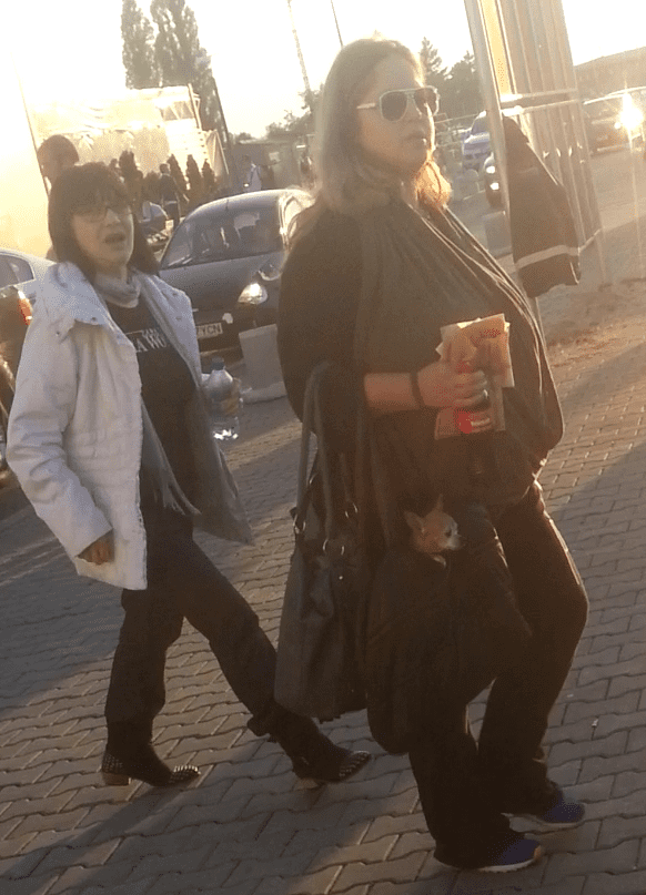 anca badiu 3