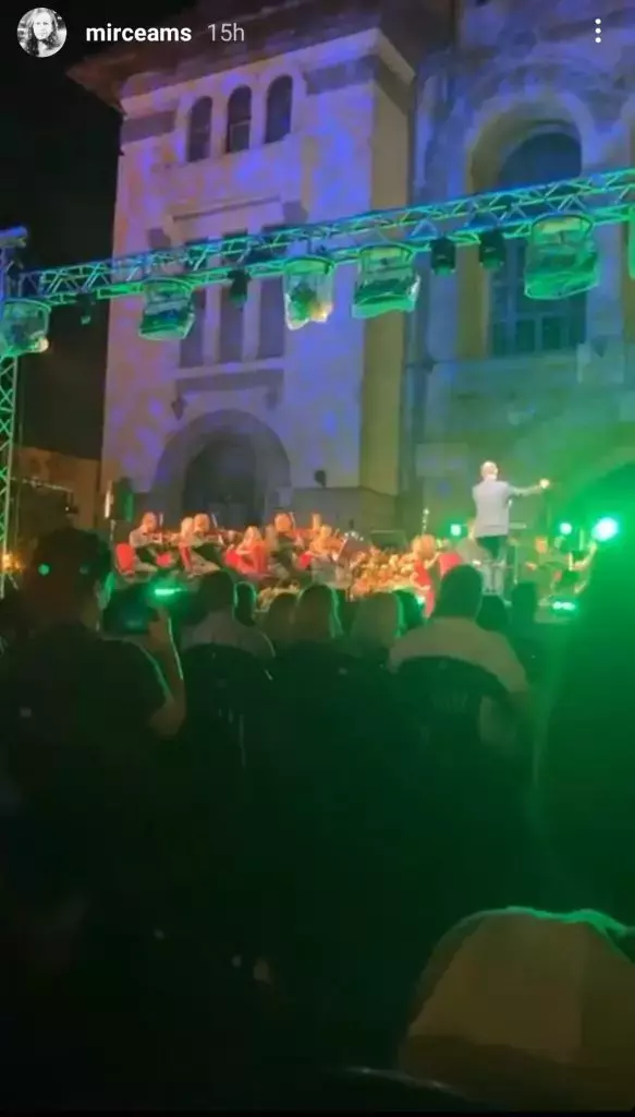 mircea solcanu spectacol